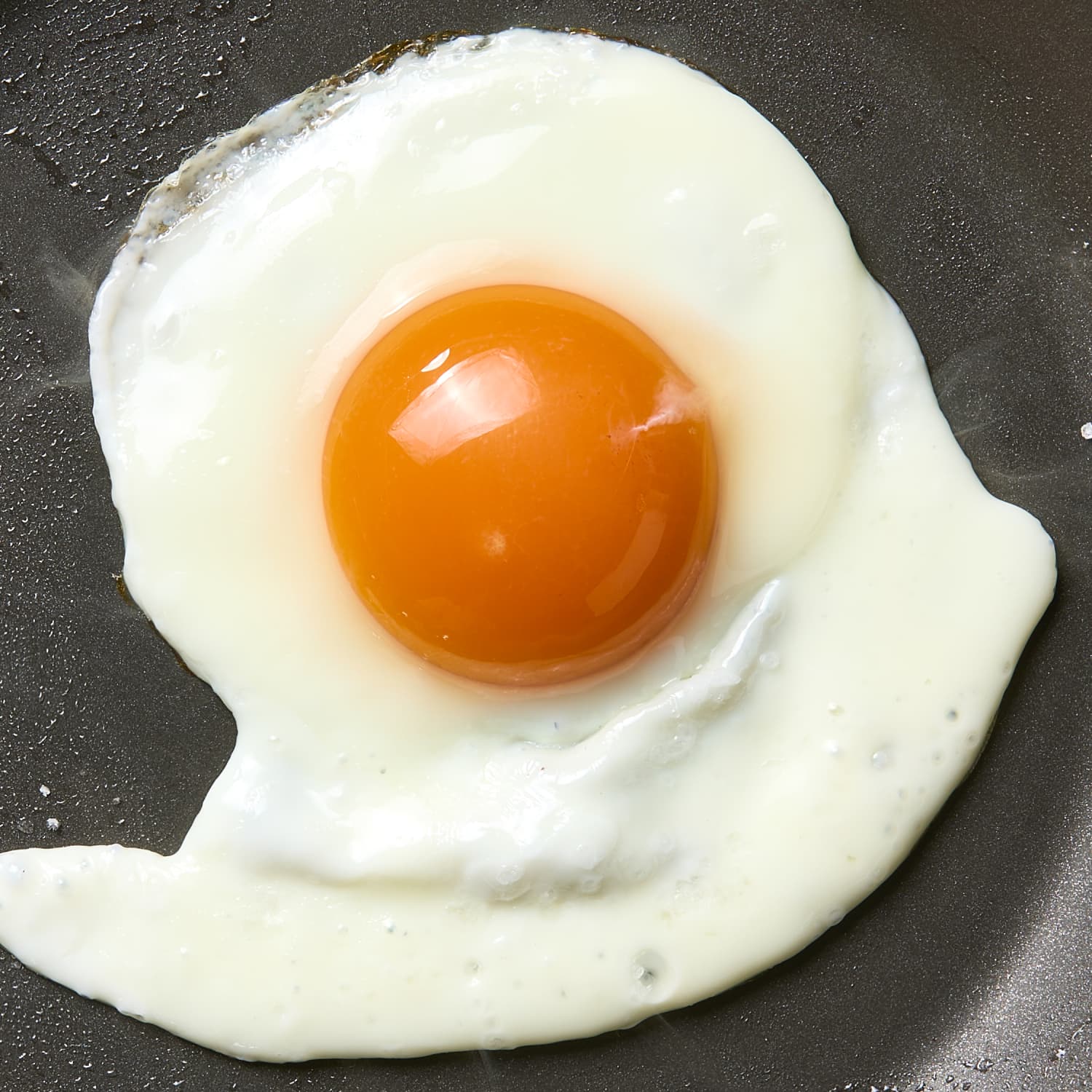 Egg Karnivor